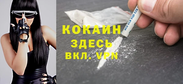 крисы Бородино