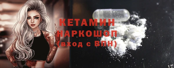 крисы Бородино
