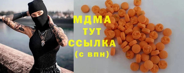 крисы Бородино