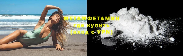 крисы Бородино