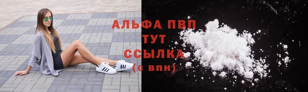 PSILOCYBIN Бронницы