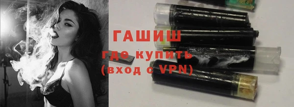 крисы Бородино