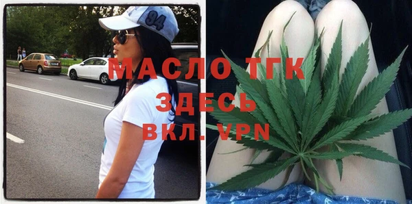 крисы Бородино