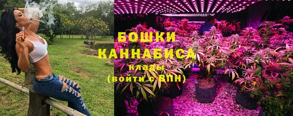 ГАЛЛЮЦИНОГЕННЫЕ ГРИБЫ Беломорск