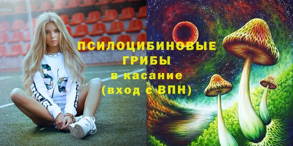 крисы Бородино