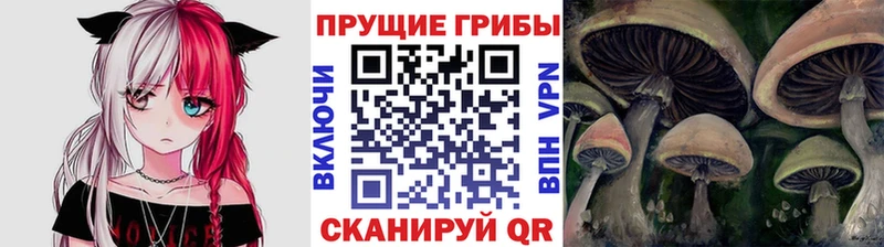 Галлюциногенные грибы прущие грибы  Качканар 